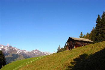 Hotel Hotel Gasthof Stoanerhof 3*